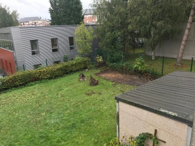 Jardin et garage (qui sera dépalcé)